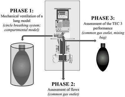 Do the Manual or Computer-Controlled Flowmeters Generate Similar Isoflurane Concentrations in Tafonius?